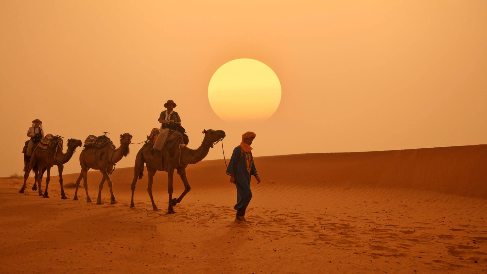 Marrakech Camellos en el desierto