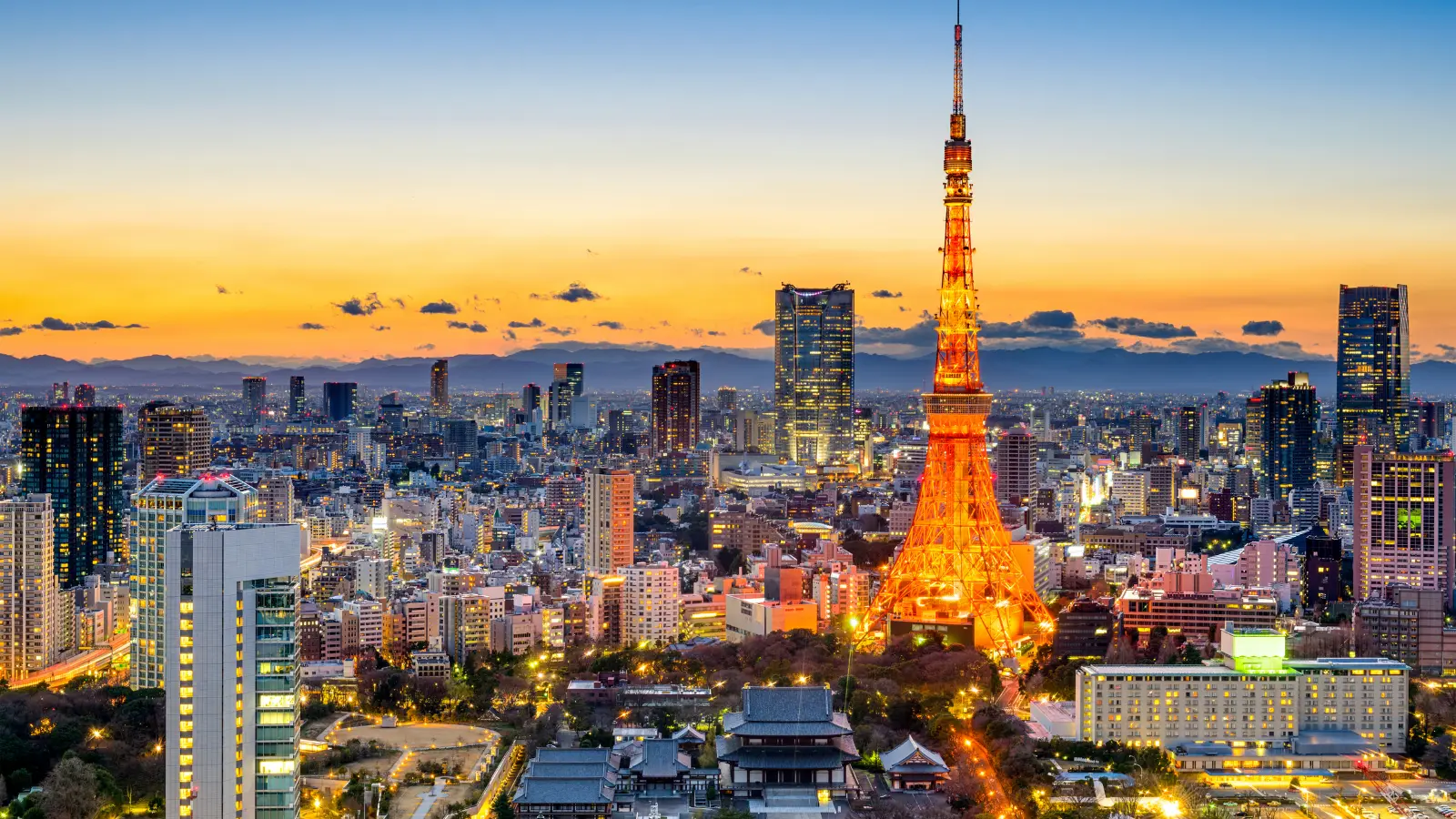 Tokio de noche